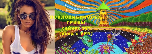 PSILOCYBIN Горнозаводск