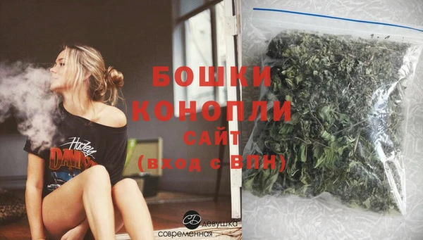 PSILOCYBIN Горнозаводск